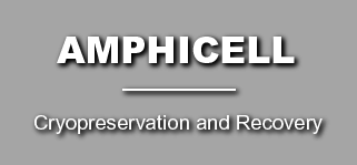 Amphicell